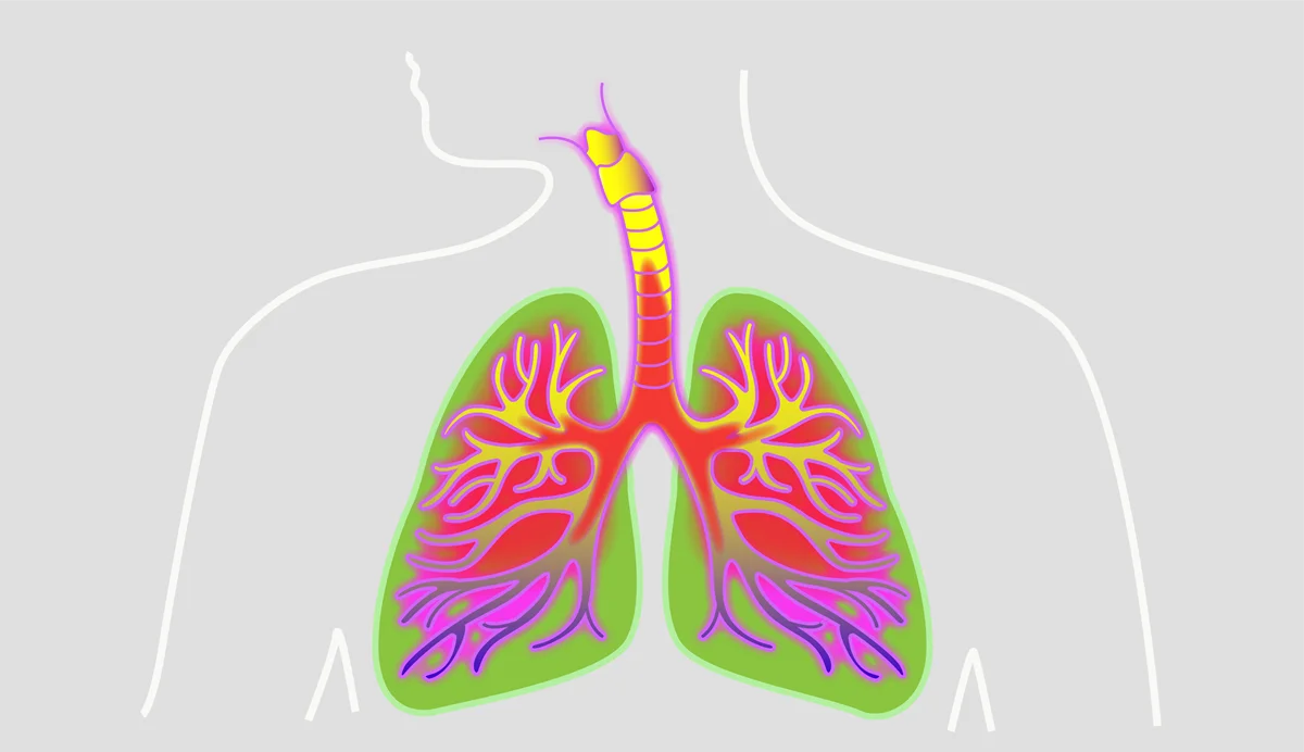Омикрон. Бронхи