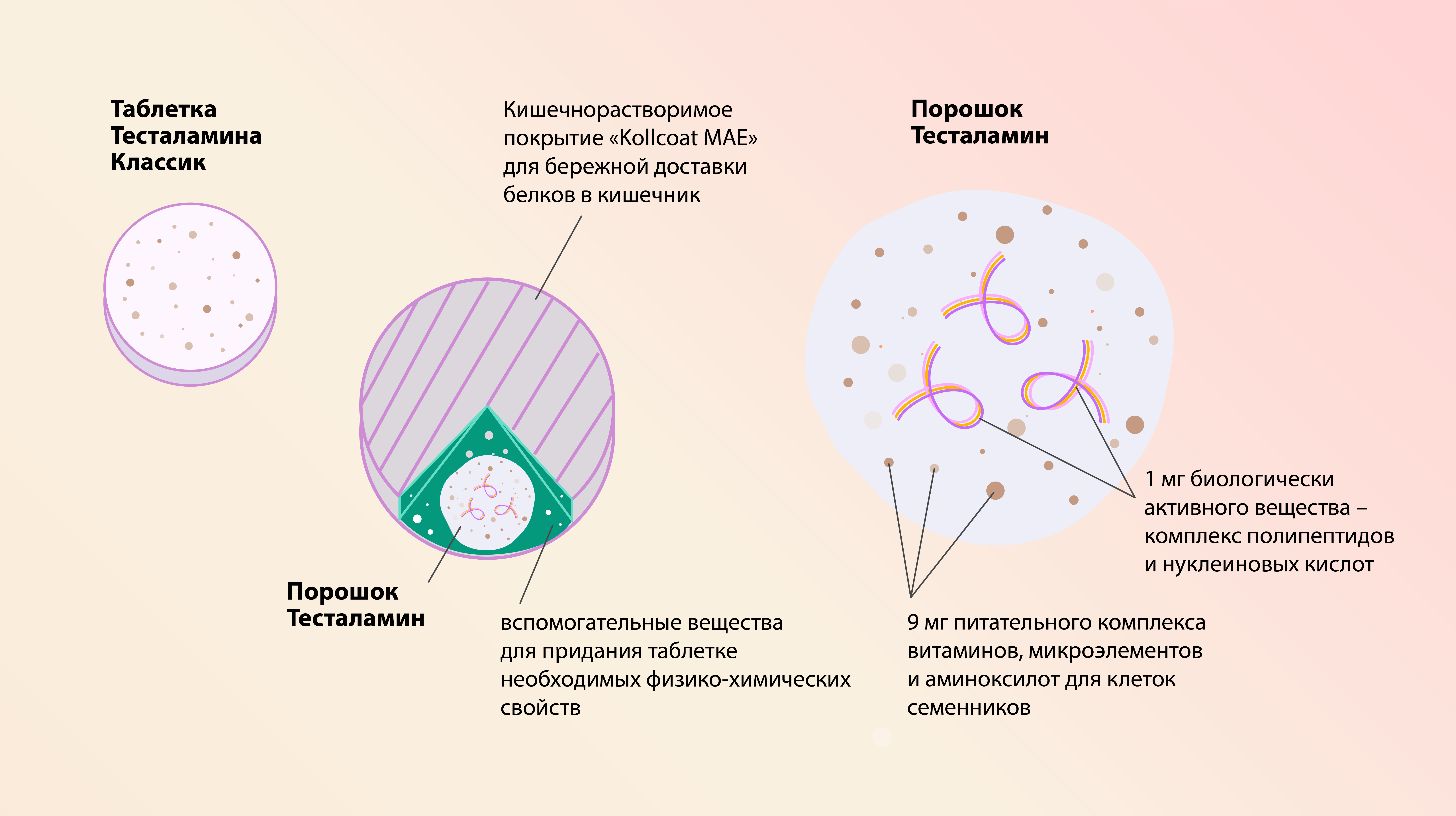 Инфографика Тесталамин Классик