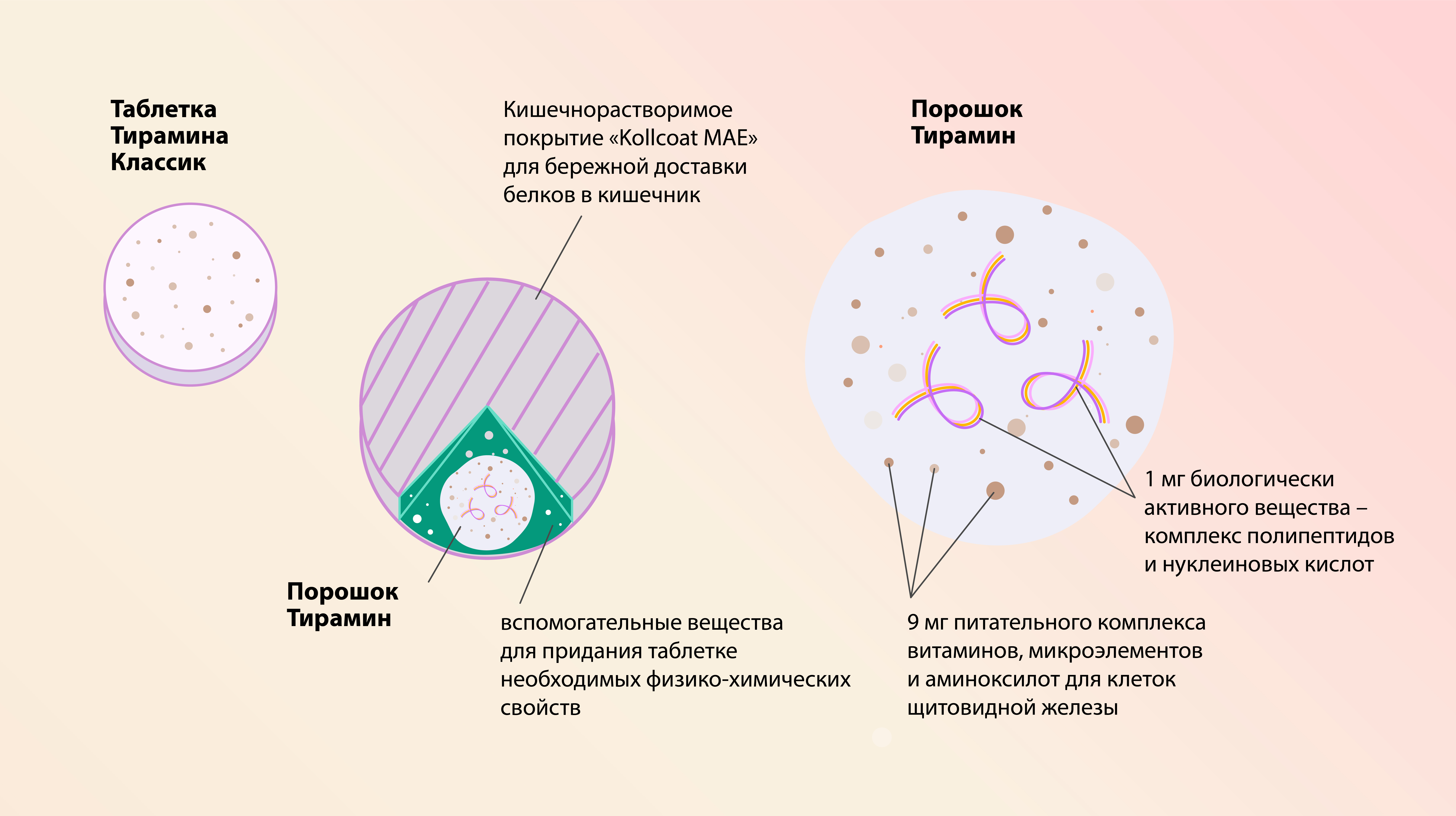 Инфографика Тирамин Классик