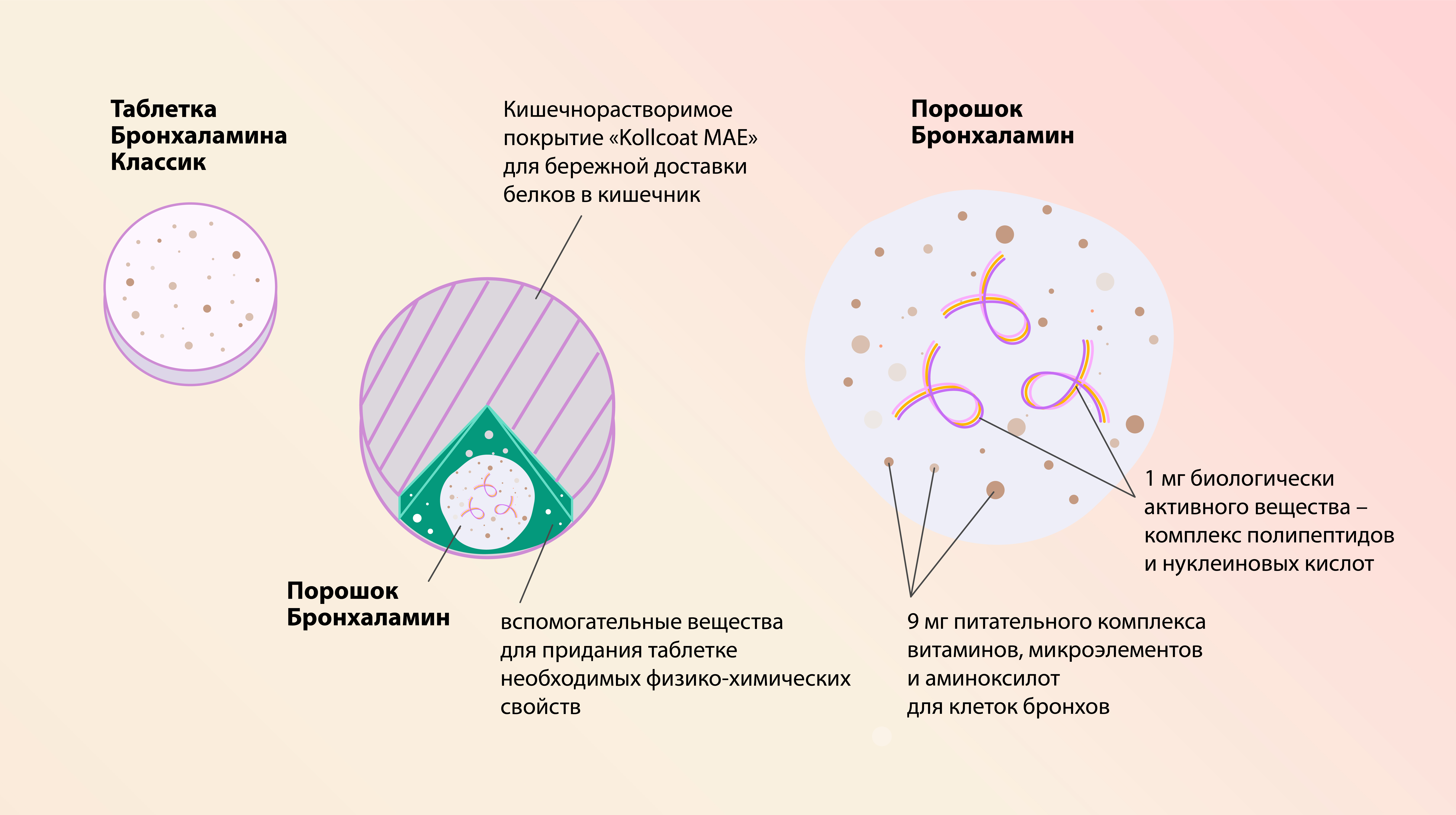 Инфографика Бронхаламин Классик